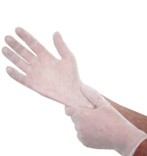 economy powder free vinyl gloves