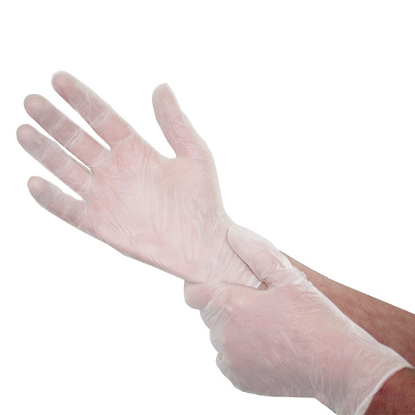 economy powder free vinyl gloves